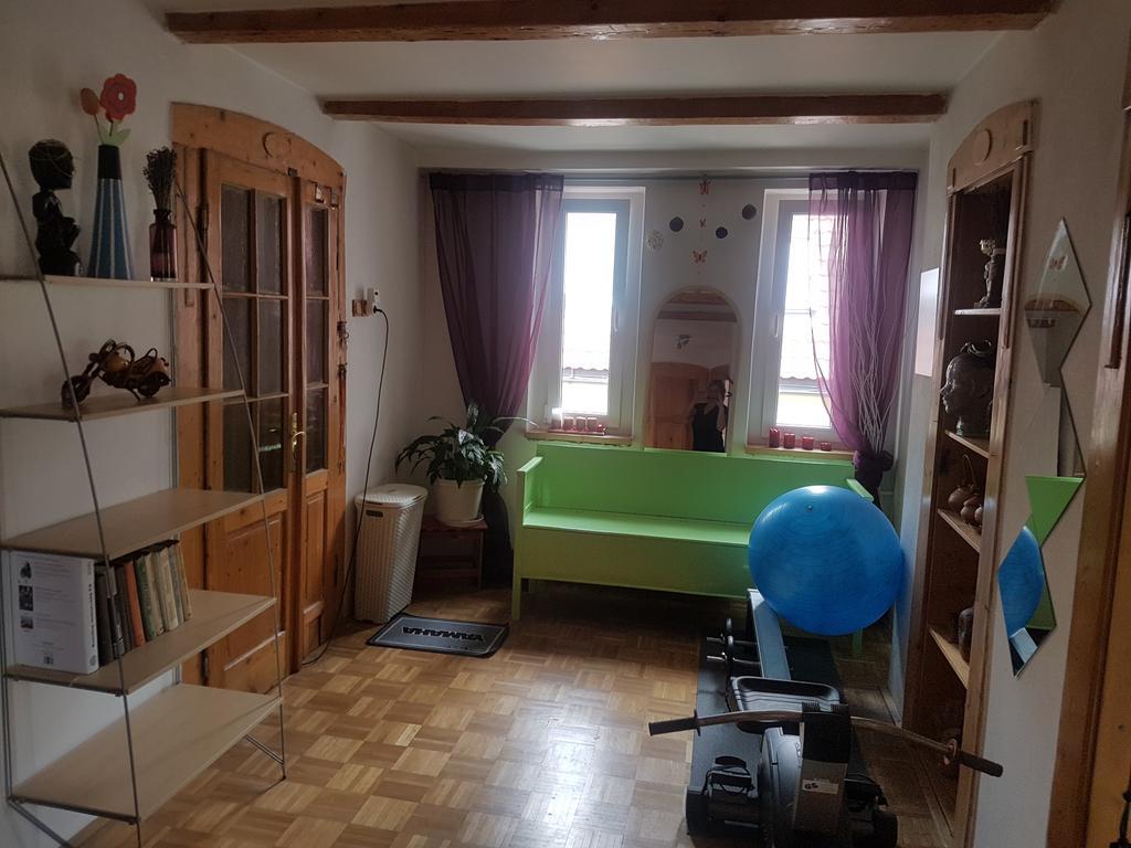 Příbram Apartman Pod Svatou Horou מראה חיצוני תמונה